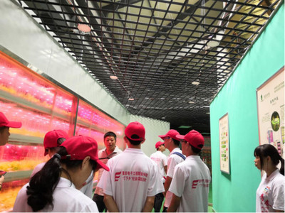 心系三農，讓農業(yè)插上科技的翅膀——網絡工程賦能現(xiàn)代農業(yè)發(fā)展